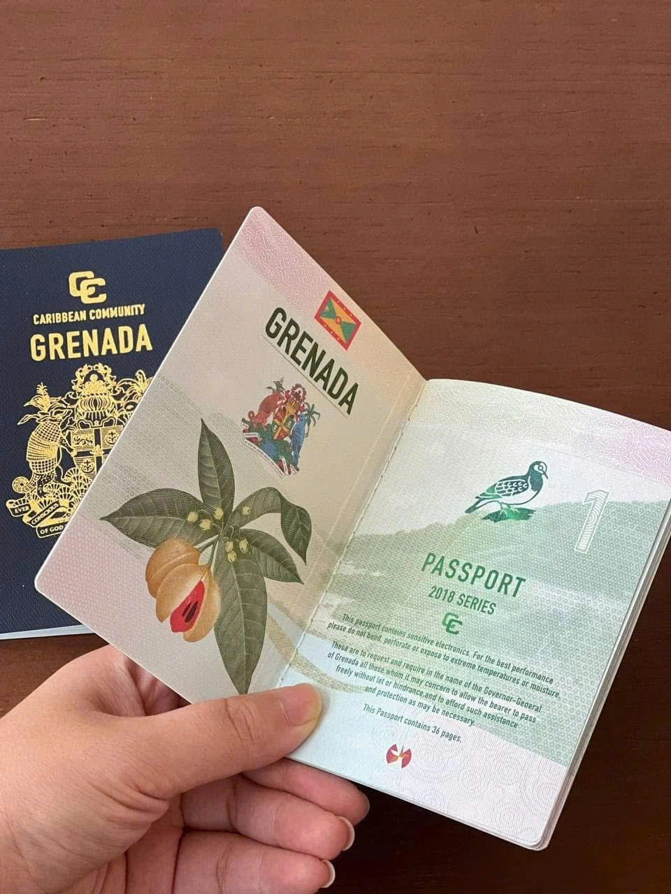 CHÚC MỪNG GIA ĐÌNH KHÁCH HÀNG  ĐÃ CHÍNH THỨC SỞ HỮU QUỐC TỊCH GRENADA -  HÀNH TRÌNH ĐẦU TƯ – MỞ RA TƯƠNG LAI TOÀN CẦU
