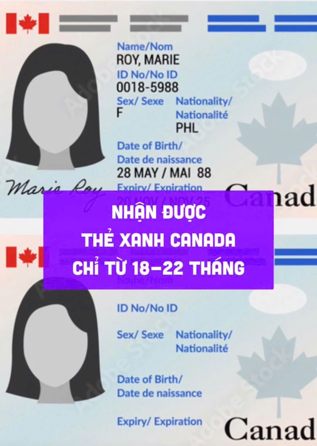 Hành trình từ ước mơ đến Thẻ Xanh Canada